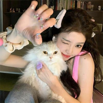 加菲猫和他的朋友们第七季