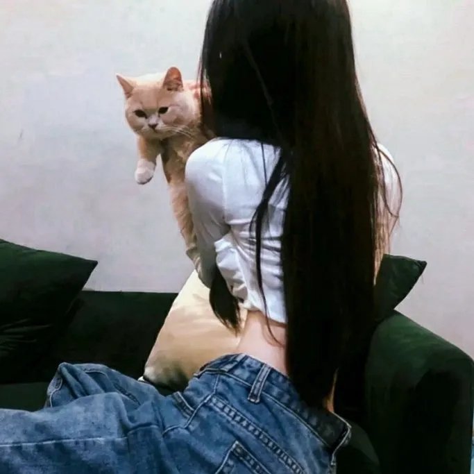 箱